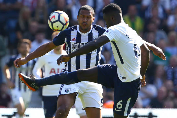 他们将有机 他们将有机